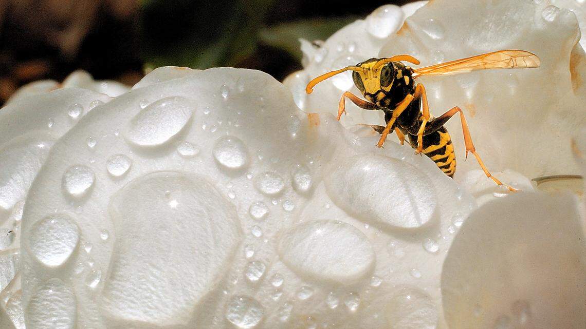 Faith | He chose love rather than hate and found the antidote