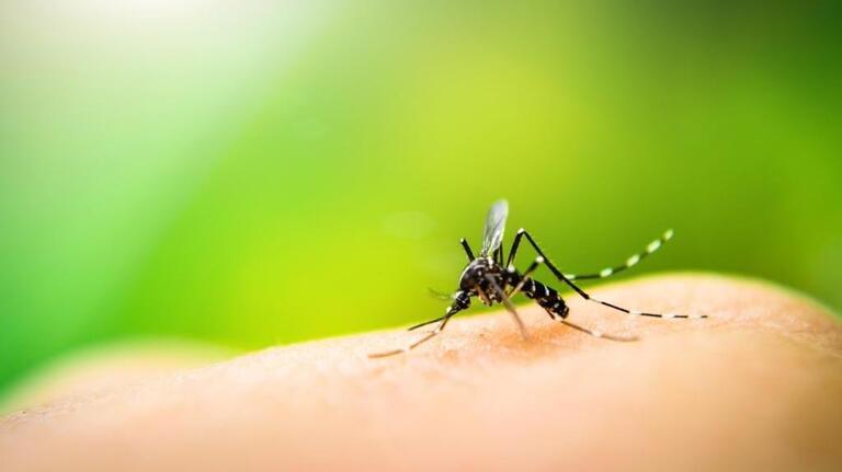 Dead birds in Benton County. 1st West Nile virus in WA in 2026