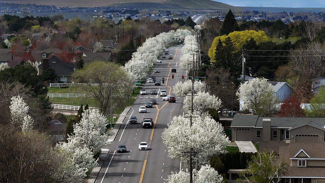 Will Eastern WA be warm and dry this spring? Cool and wet? See early forecasts