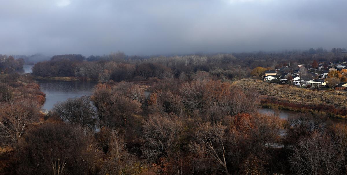 Richland’s W.E. Johnson Park in Richland stretches along the Yakima River from near West Van Giesen Street towards the trailhead near the homes on Tanglewood Drive off the 240 Bypass Highway.