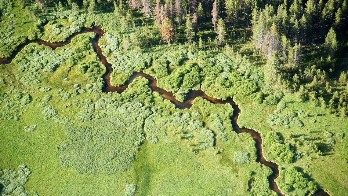 Snake River ranked 4th most endangered in nation. Momentum builds to remove dams