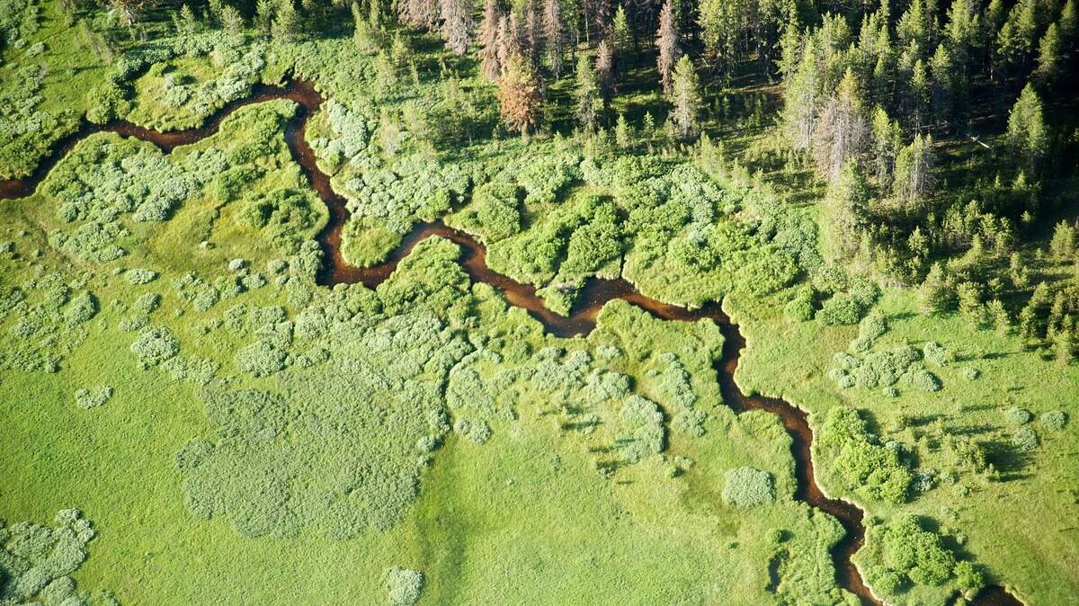 Bear Valley Creek in Idaho, is home to chinook salmon and steelhead, that travel the Snake River.
