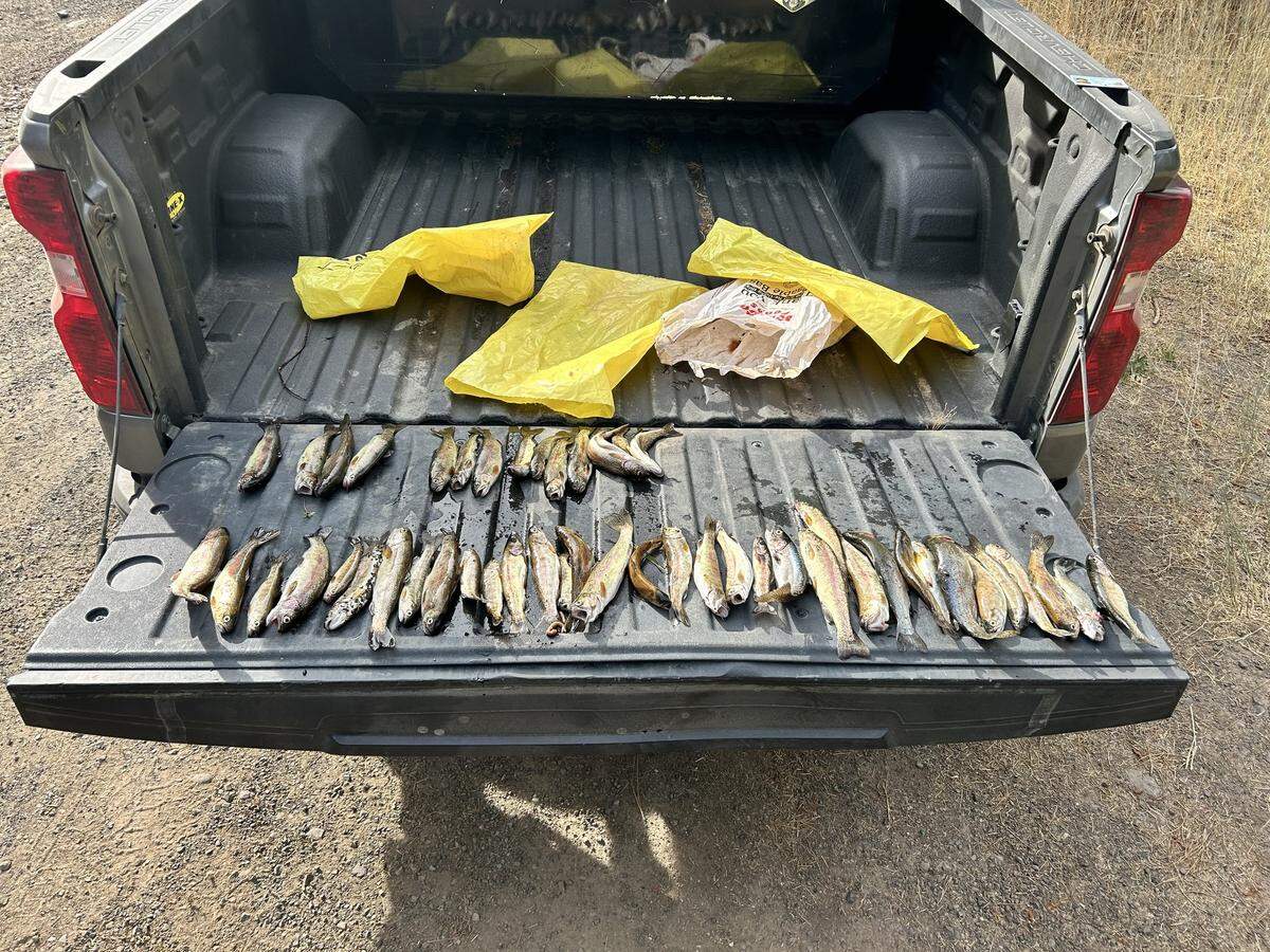 Three people were cited by the Washington State Fish and Wildlife Department for having more than double the limit of fish allowed at an Eastern Washington river and lake.