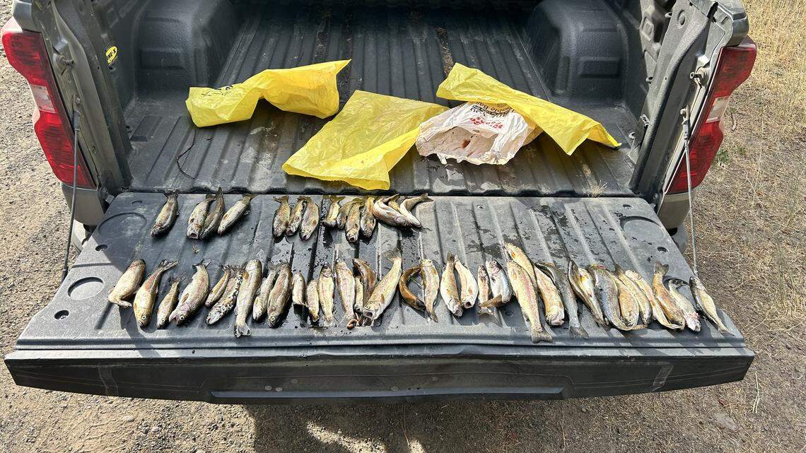 Fishy tale ends with criminal citations for 3 Eastern WA anglers