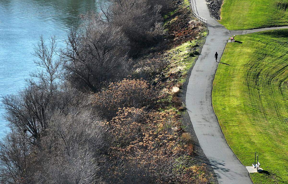 A walker enjoys a recent balmy, bright and sunny mid-December day on the pathway along the Columbia River in Richland’s Howard Amon Park. The National Weather Service forecast for Christmas Day in the Tri-Cities is for a chance of rain and mostly cloudy conditions.