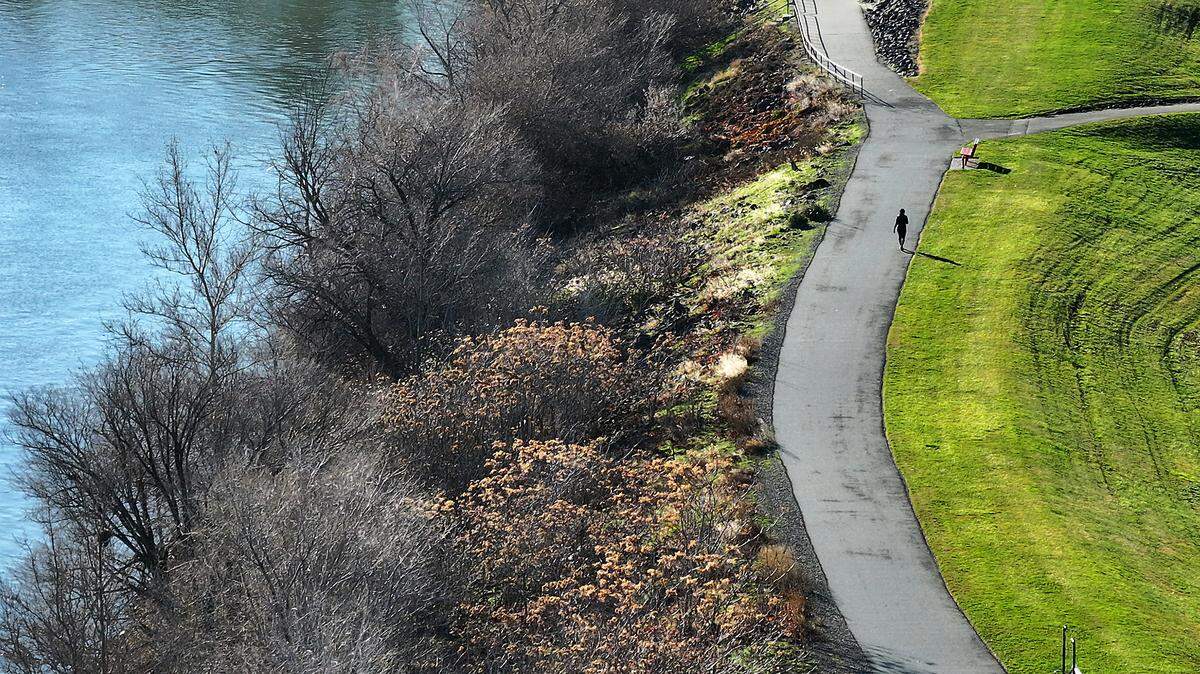A walker enjoys a recent balmy, bright and sunny mid-December day on the pathway along the Columbia River in Richland's Howard Amon Park. 
