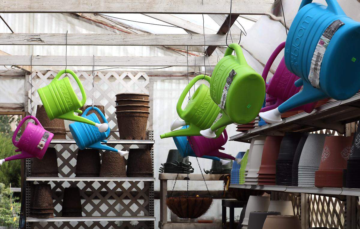 Colorful watering cans hang from the rafters inside the Flower Farm at 311 S. Columbia Center Blvd. in Kennewick. The longtime garden center business recently announced its pending closure after losing its lease.