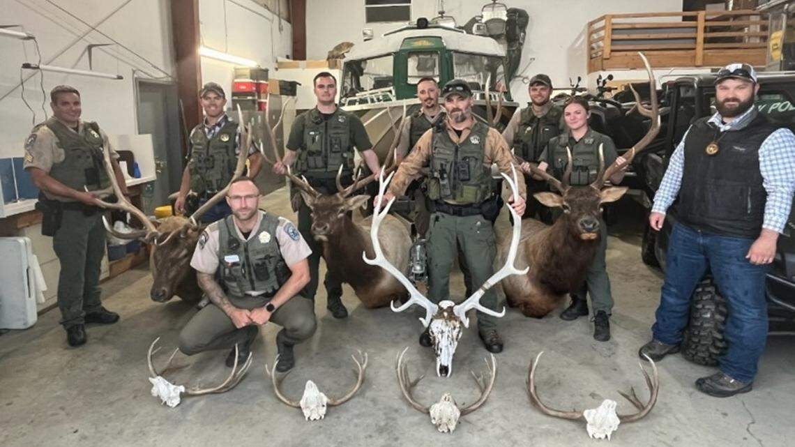 6 charged in poaching case after trophy elk and deer mounts seized in Tri-Cities