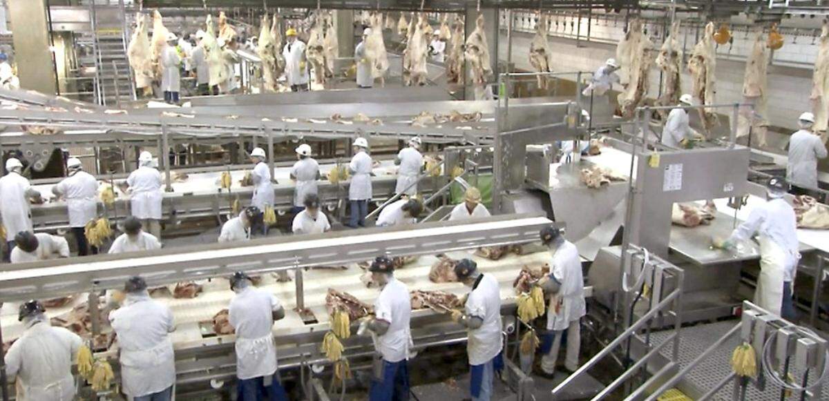 A beef processing line shown in operation at one of Tyson Foods plants.