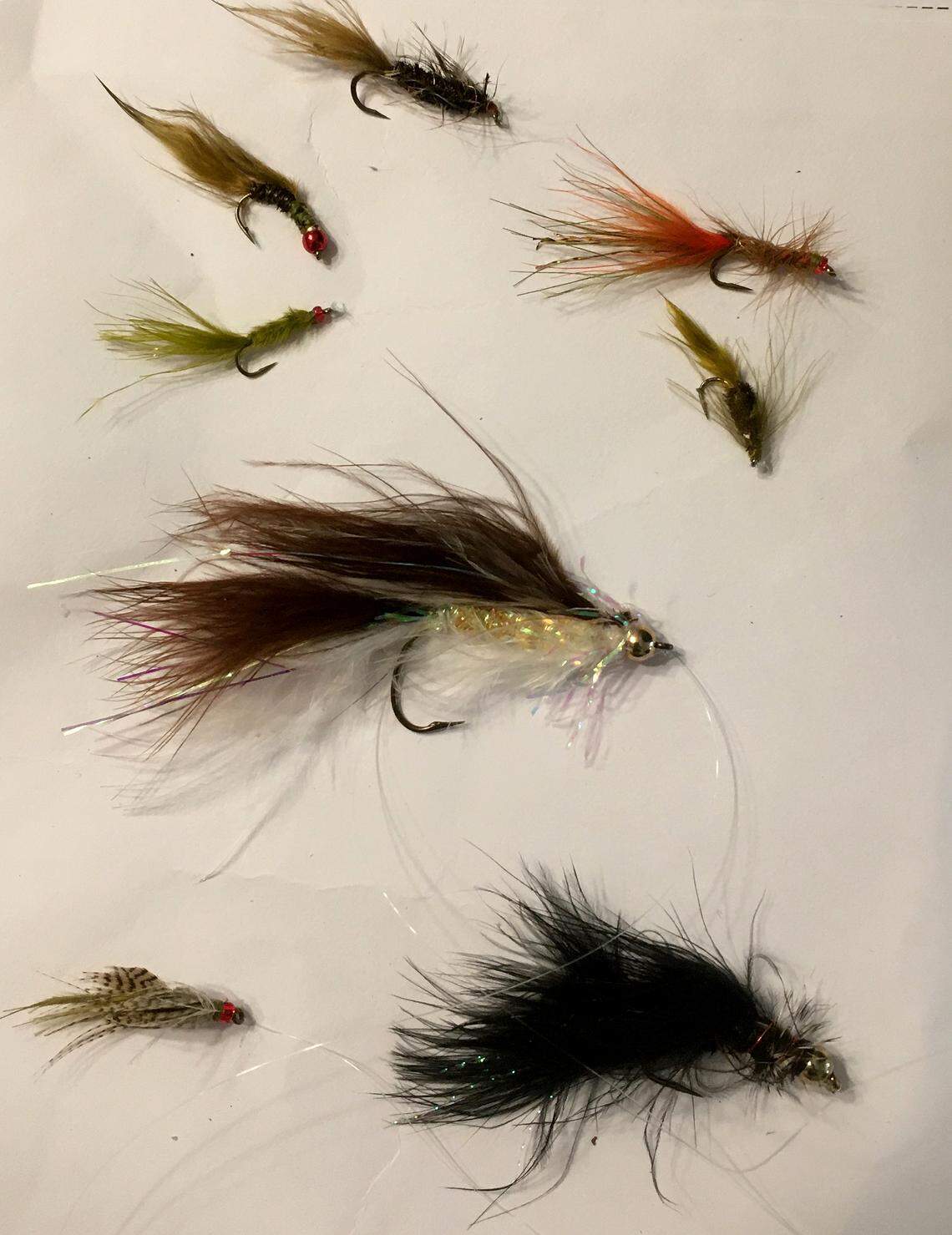 A collection of hand-tied flies designed to mimic aquatic insects found in still water.