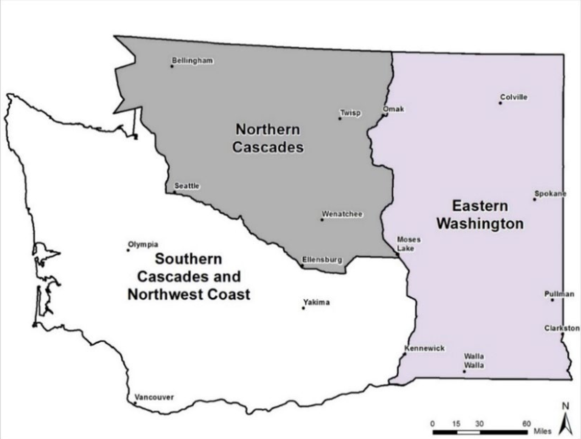 Gray wolf recovery in Washington state is split into three regions: Northern Cascades, Eastern Washington, and the Southern Cascades and Northwest Coast regions.