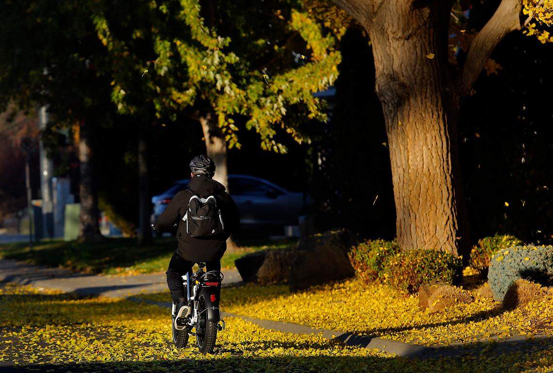 A bicyclist powers his way across a blanket of freshly fallen leaves on Hains Avenue in Richland. 