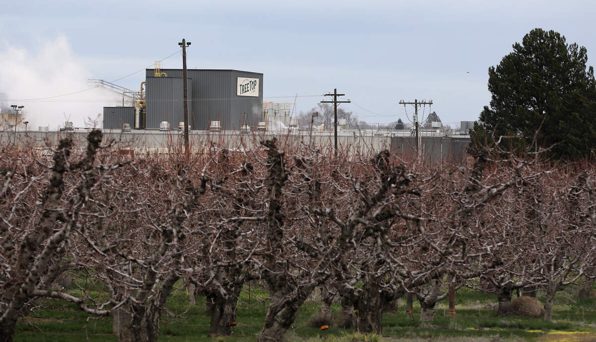 Tree Top employs nearly 125 in Prosser, who process apples, pears, cherries, grapes, and many other fresh and frozen fruits into a wide variety of juice concentrates.