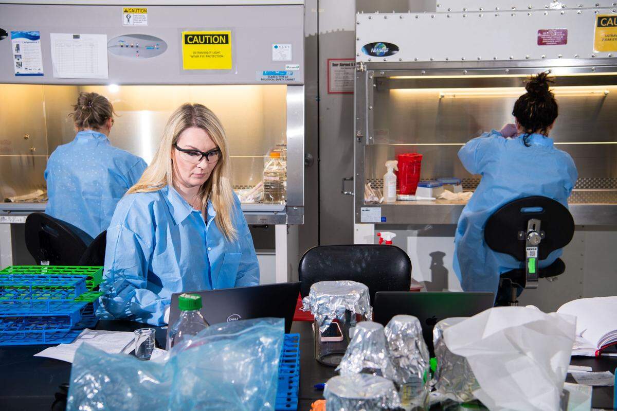 PNNL researchers prepare soils as part of a NASA-funded experiment called DynaMoS, or Dynamics of Microbiomes in Space.