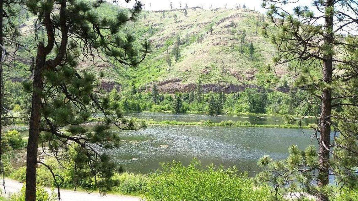 The W.T. Wooten Wildlife Area has eight lakes and 10 campgrounds.