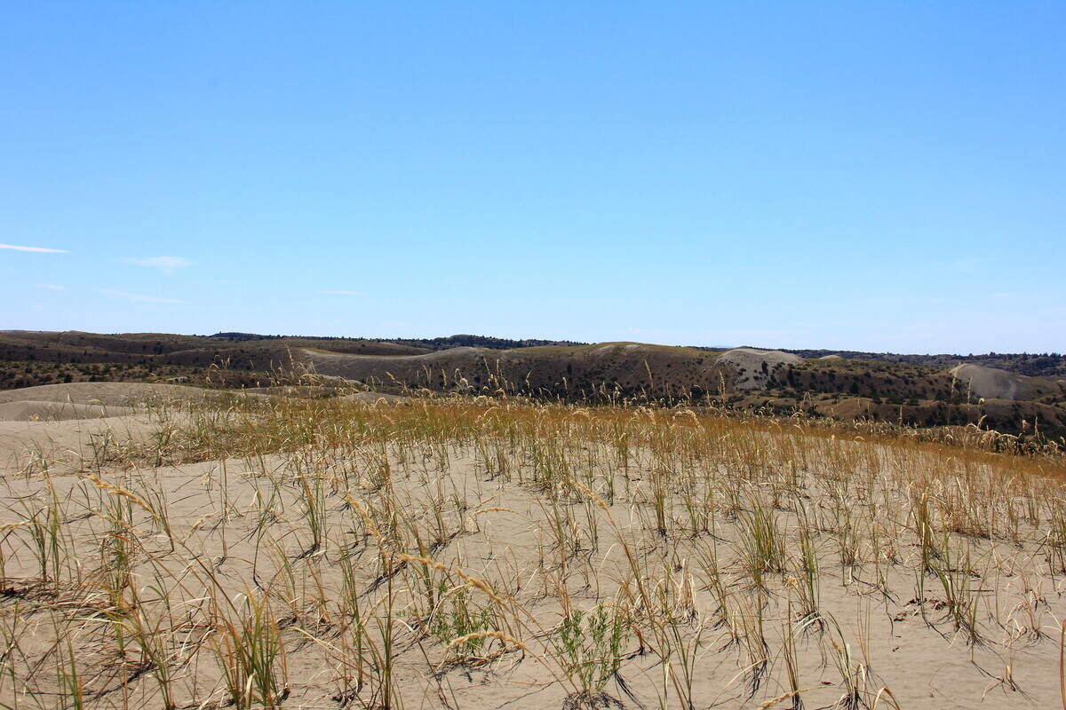 A sand dune at the Juniper Dunes Wilderness in Franklin County, Wash. A wildfire was burning at the wilderness area on Monday June 15, 2026.