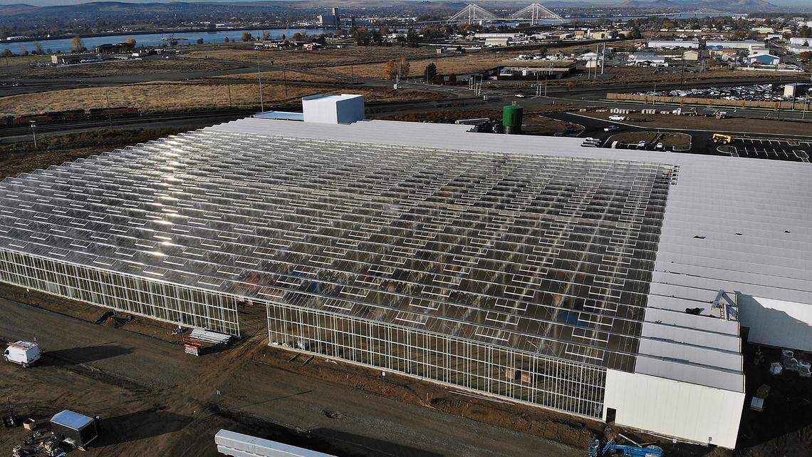 There’s a whole lotta lettuce behind $8M Pasco greenhouse expansion plan