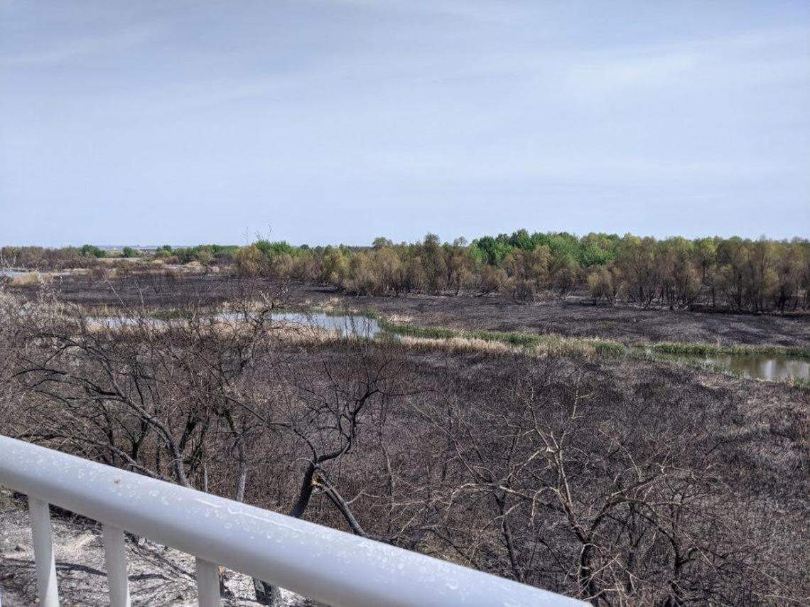 About 85 acres of wildlife area along the Yakima River delta in Richland has burned since a fire started about 12:30 p.m. Wednesday.