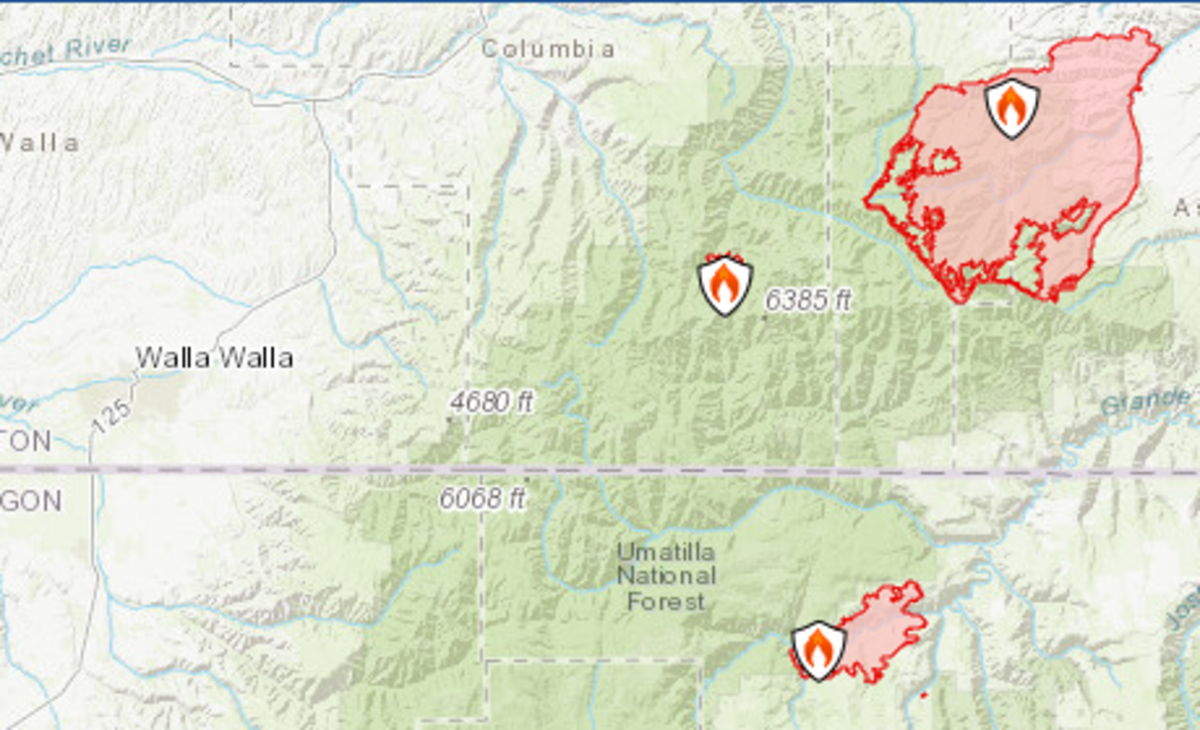 Fires are burning in the Umatilla National Forest.