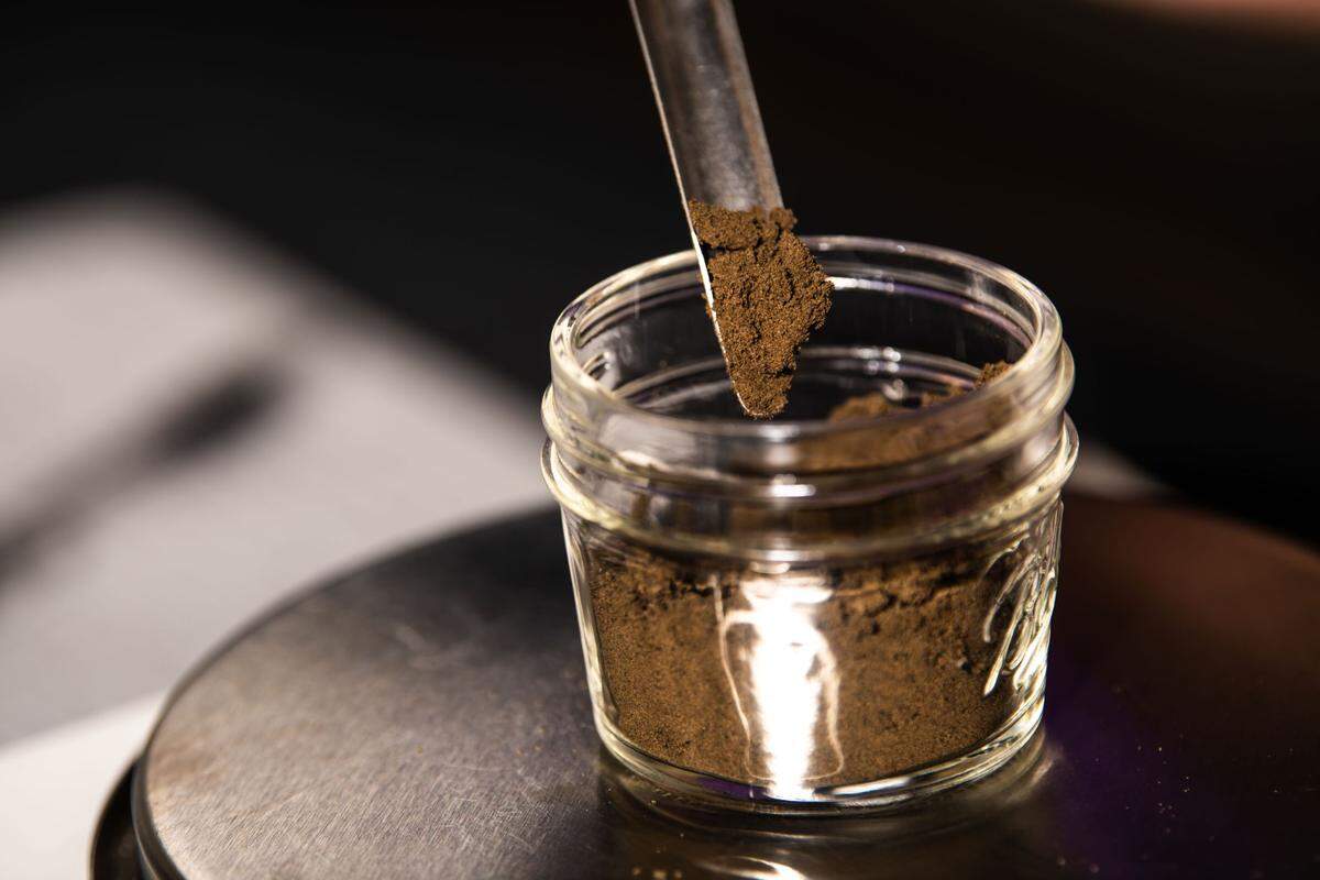 PNNL researchers study soil samples from the Washington State University field site in Prosser to investigate microbial communities and how they are affected by drought.
