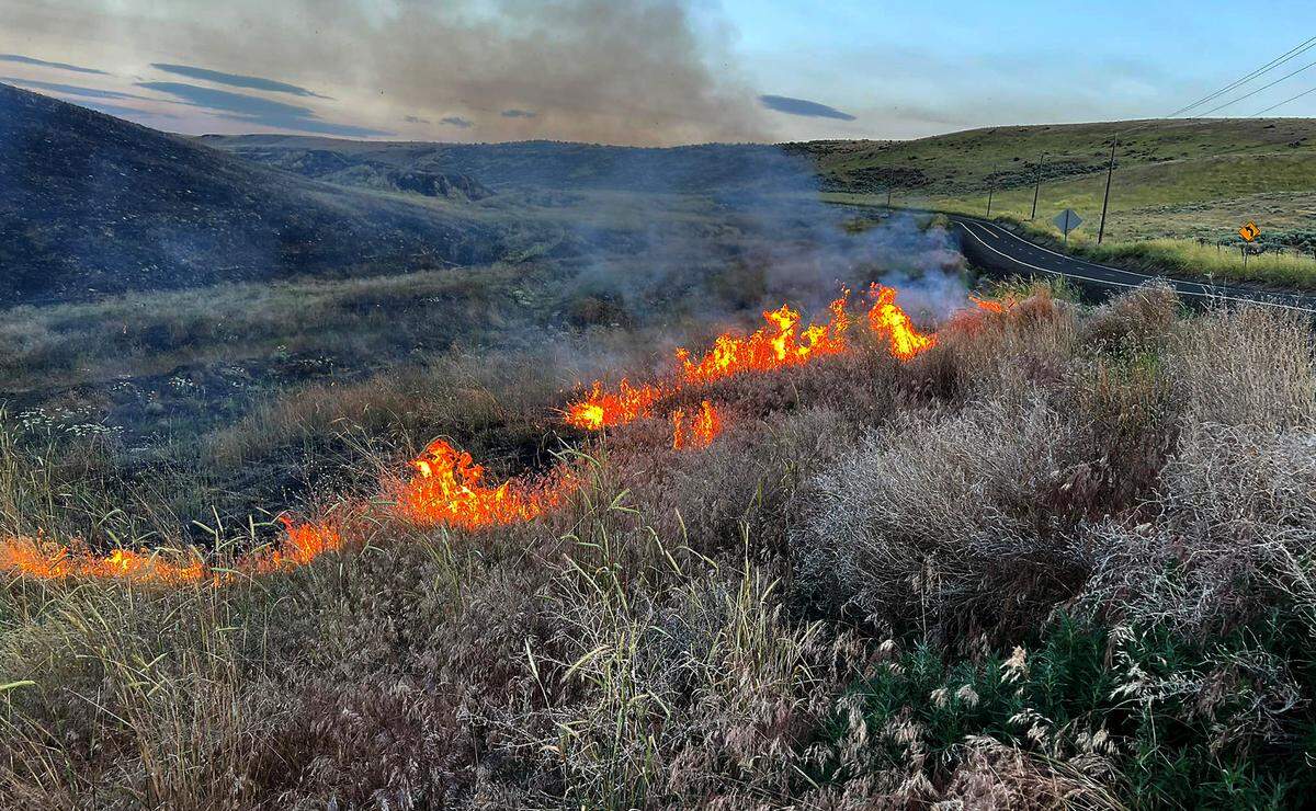 A natural cover fire burned about 450 acres in the area of Meals, Ayers and Hover Roads in the Finley area over the weekend. An off-road vehicle from Franklin County Fire District #3 overturned in very steep terrain while supporting firefighting efforts. The firefighter was wearing a seat belt and was not injured. No structures were burned or damaged, according to a Benton County Fire District 1 social media post.
