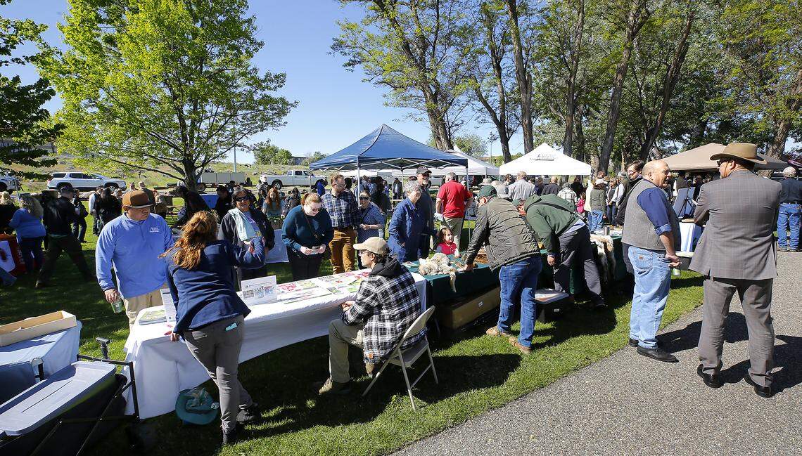 Guests at Friday morning's gathering along the Columbia River in Richland to celebrate the reconnection of the Yakima River Delta at Chamna visit tables with displays set up by groups and organizations involved with the removal of the causeway to Bateman Island.