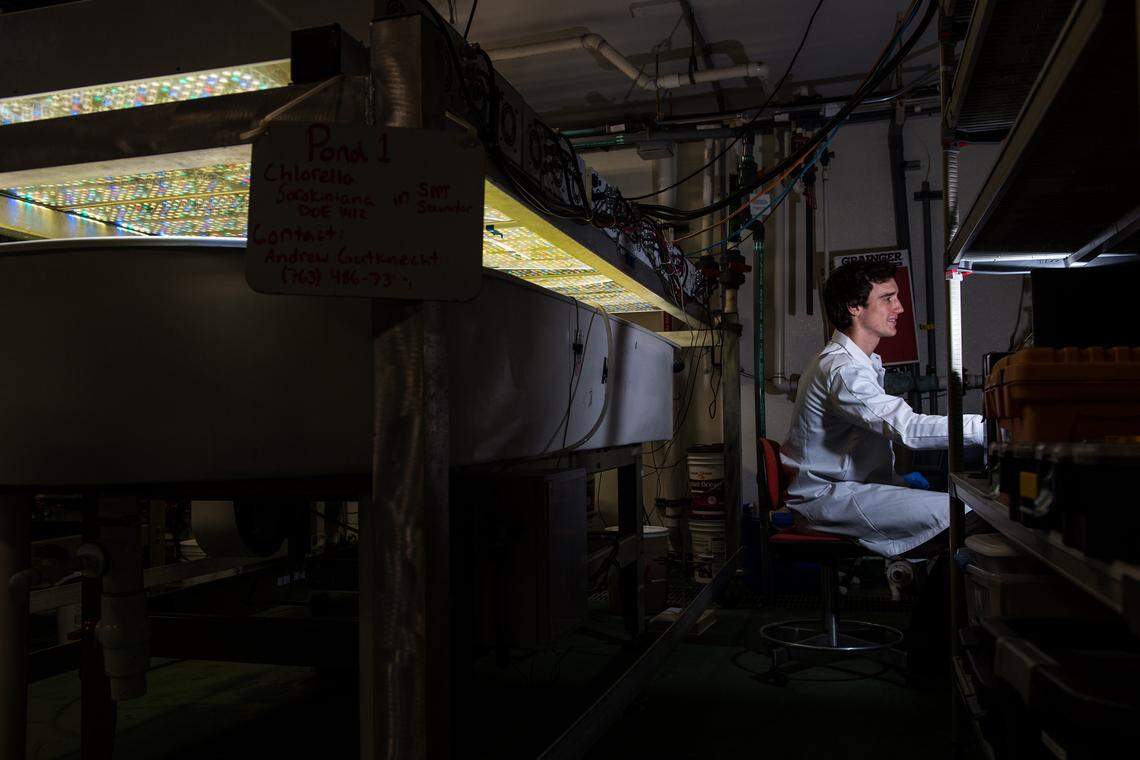 Scientists at PNNL are helping quickly screen dozens of algae species to identify those that hold the most promise for making biofuel, evaluating growth rates in bioreactors that use temperature controls and LED lights to mimic conditions of outdoor algae ponds.