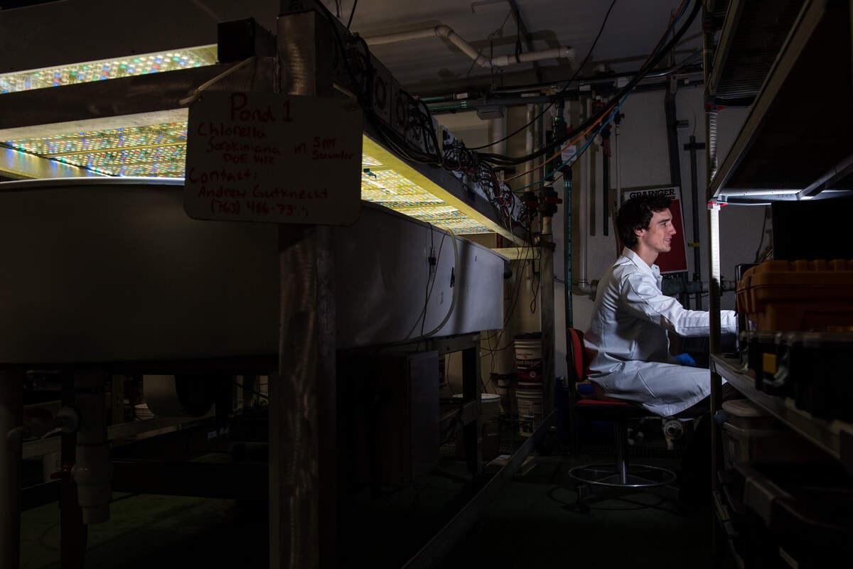 Scientists at PNNL are helping quickly screen dozens of algae species to identify those that hold the most promise for making biofuel, evaluating growth rates in bioreactors that use temperature controls and LED lights to mimic conditions of outdoor algae ponds.