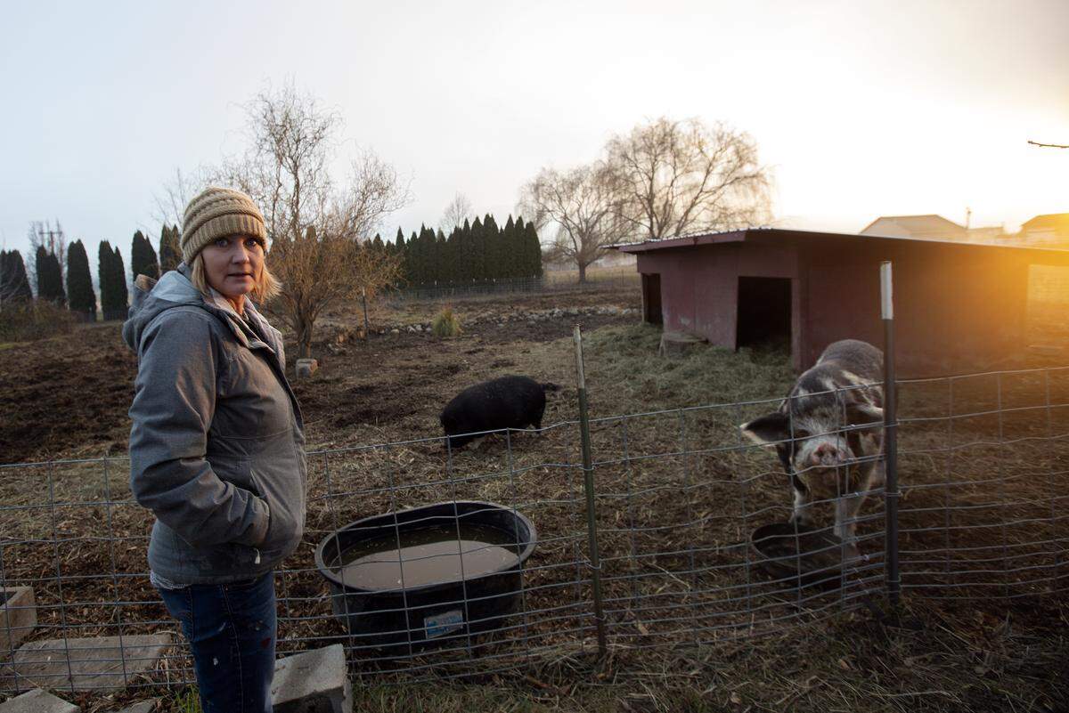 Michelle Allgaier director of Nobel Animal Sanctuary in Prosser stands outside by pigs that are now at the sanctuary.