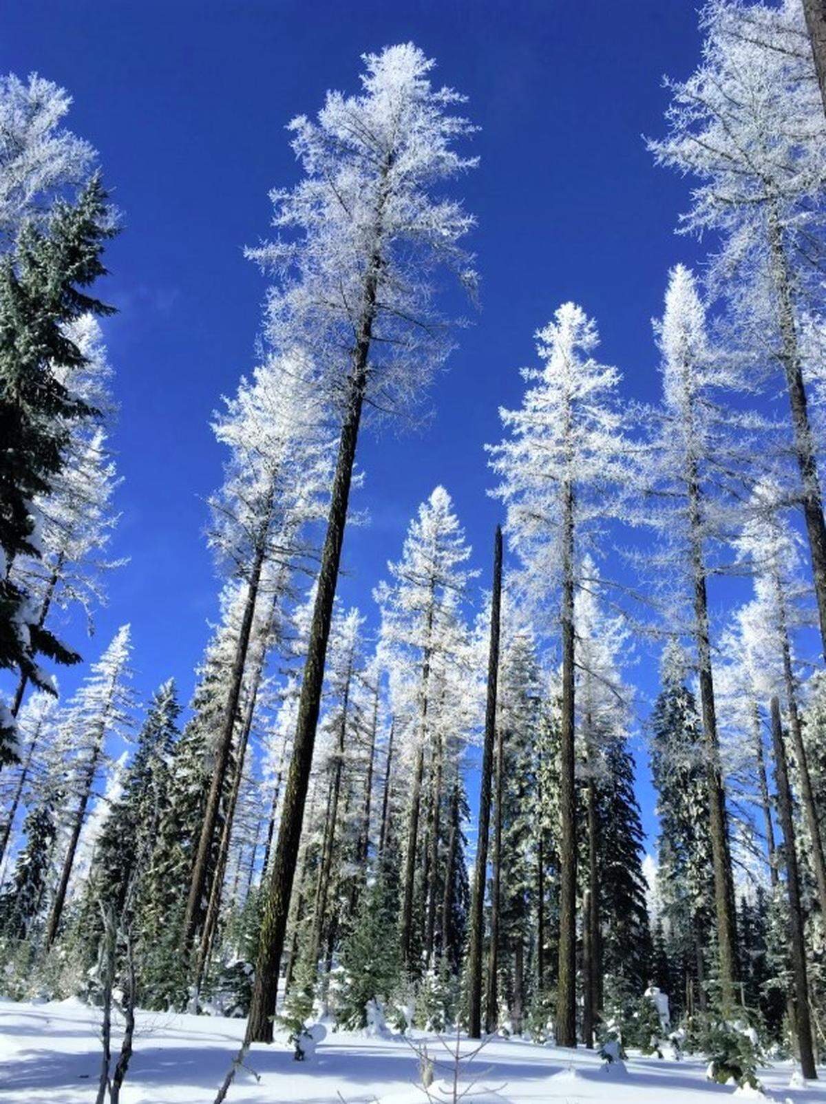 You don’t have to go to the resorts or the places where large numbers of people flock to. Snow hiking can be done anywhere there is snow.