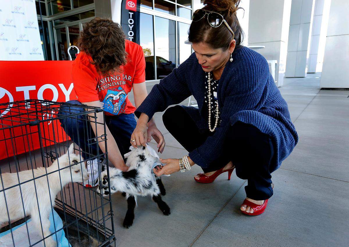 Wishing Star recipient Landen Schroeder, 18, left, and Cindy Guthrie Tripp of the Wishing Star Foundation work together to diaper a goat before Wednesday’s announcement of the return of the popular “Send a Friend a Goat” fundraiser. The program raises money for the Wishing Star Foundation that helps grant wishes for kids with terminal or life-threatening conditions.