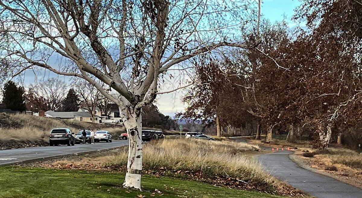 Richland detectives conduct an investigation on the 1400 block of Hains Avenue in near Leslie Groves Park. The Benton County coroner confirmed the body of missing Richland woman Cassandra Hansen was found along the Columbia River shoreline.