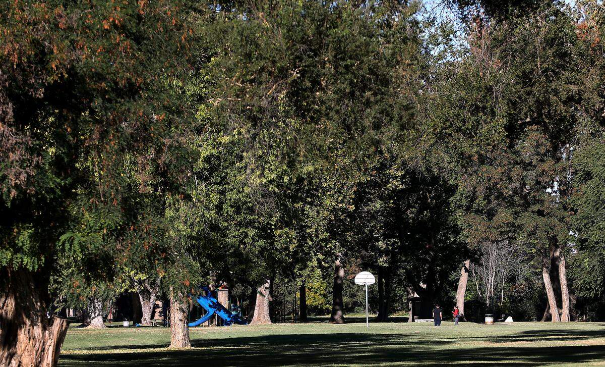 Visitor near the walking path through Columbia Park east of the Edison Street overpass along the Columbia River in Kennewick.