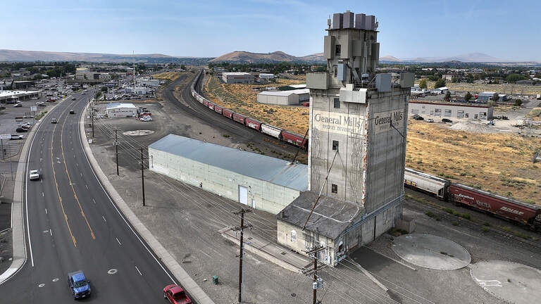 Towering historic Tri-Cities landmark going on the auction block