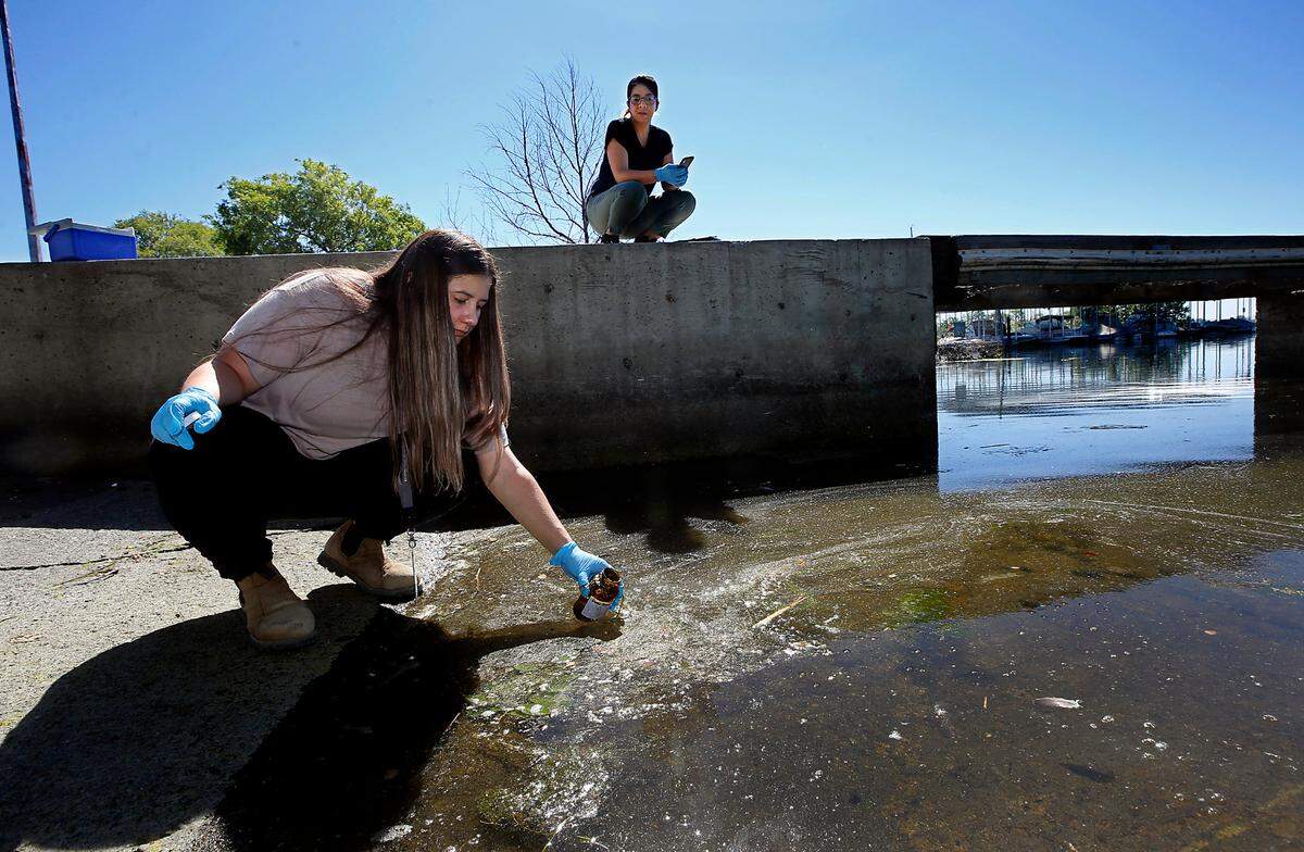 Environmental health technicians Ann Martinez, left, and Gracie Jimenez collect water samples Monday from the Columbia River in the Tri-Cities to be tested for toxins linked to blue algae. The Benton Franklin Health District employees are part of a new program to regularly test the water after three dogs died last year. They were at the Pasco Boat Basin for this sampling.