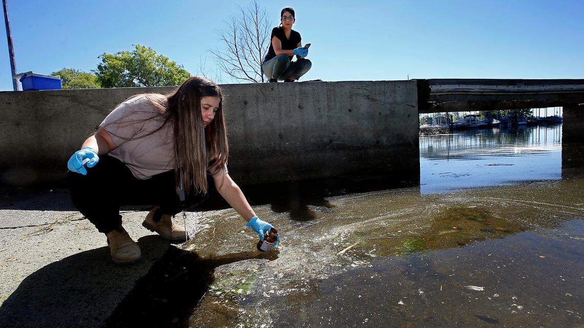 Shock of deadly nerve toxins in Columbia River at Tri-Cities prompts new warnings