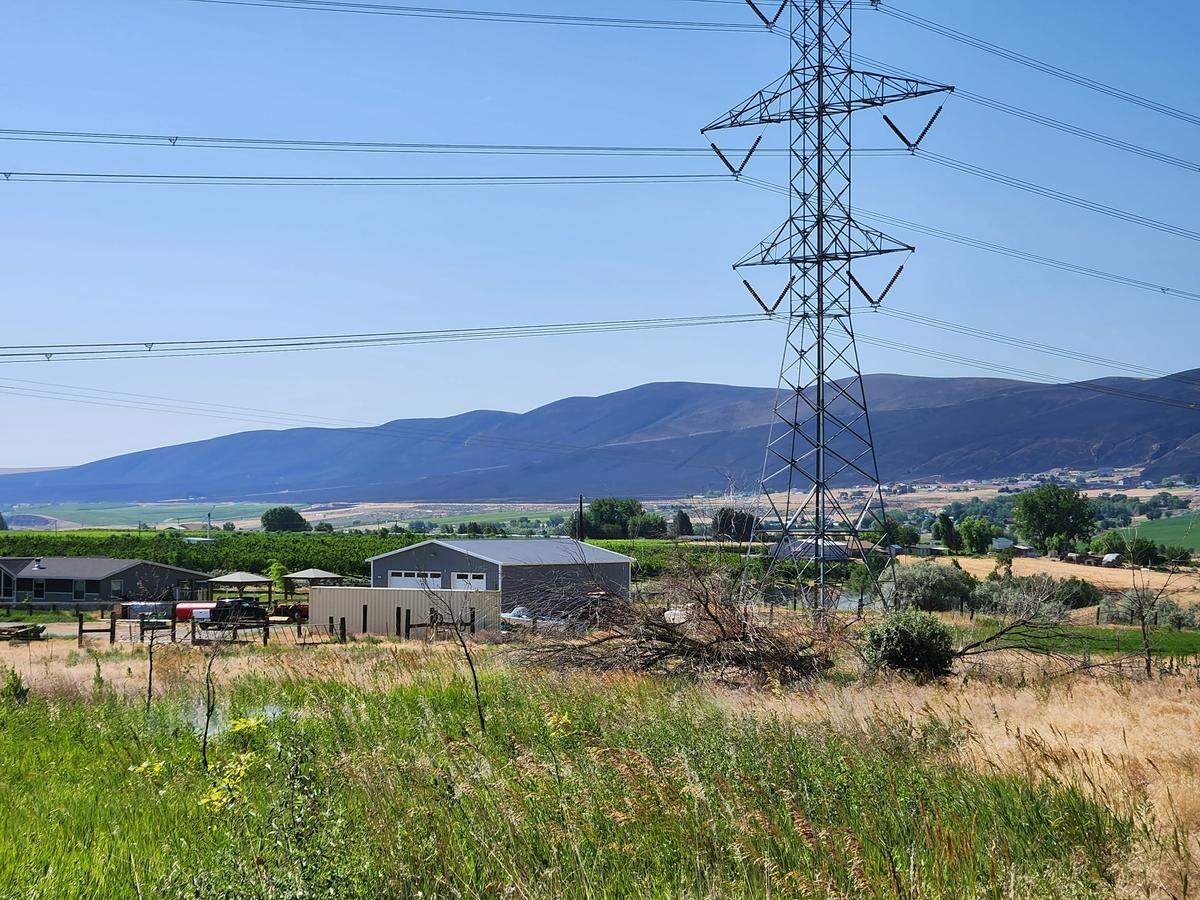 The burned hillside from a wildfire near Horse Heaven Hills is seen a few miles west of Benton City on Tuesday, June 13.