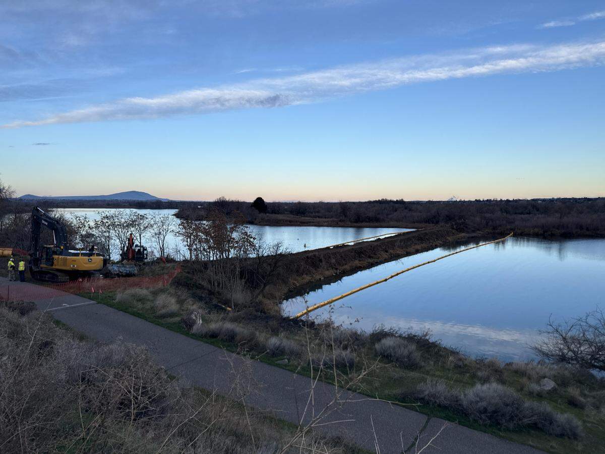 The Bateman Island causeway was stripped of vegetation and isolated by floating booms Jan. 5, 2026, morning before construction equipment moved onto the earthen structure to begin removing it.