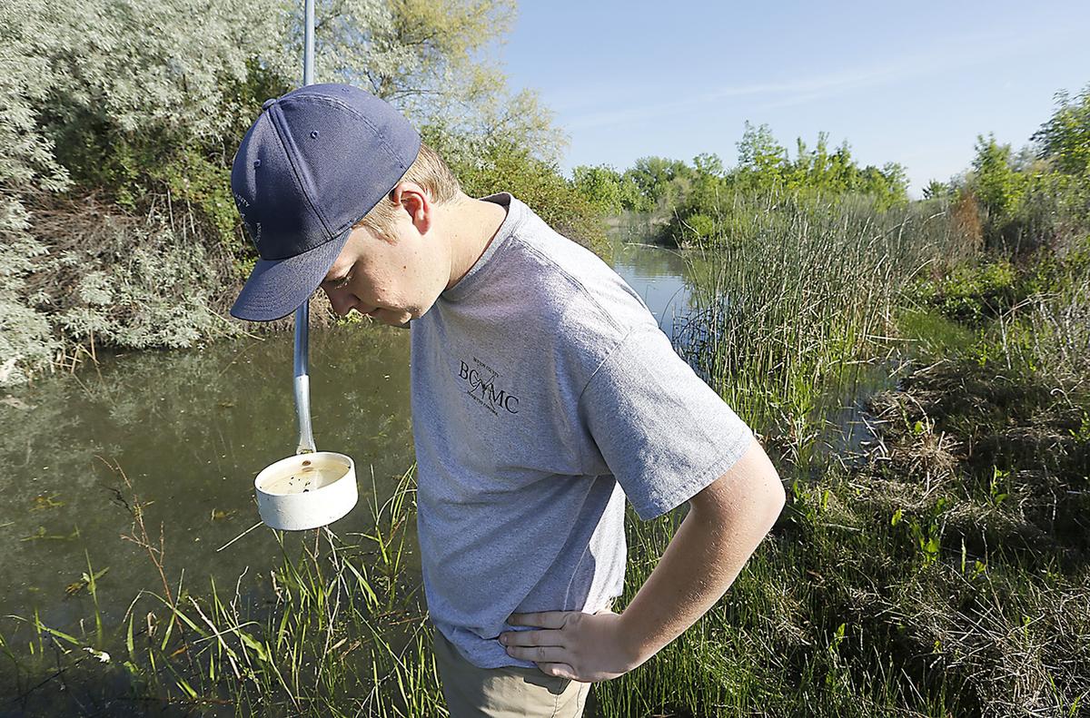 The Benton County Mosquito Control District inspects standing water around the Tri-Citiesfor mosquito larvae.