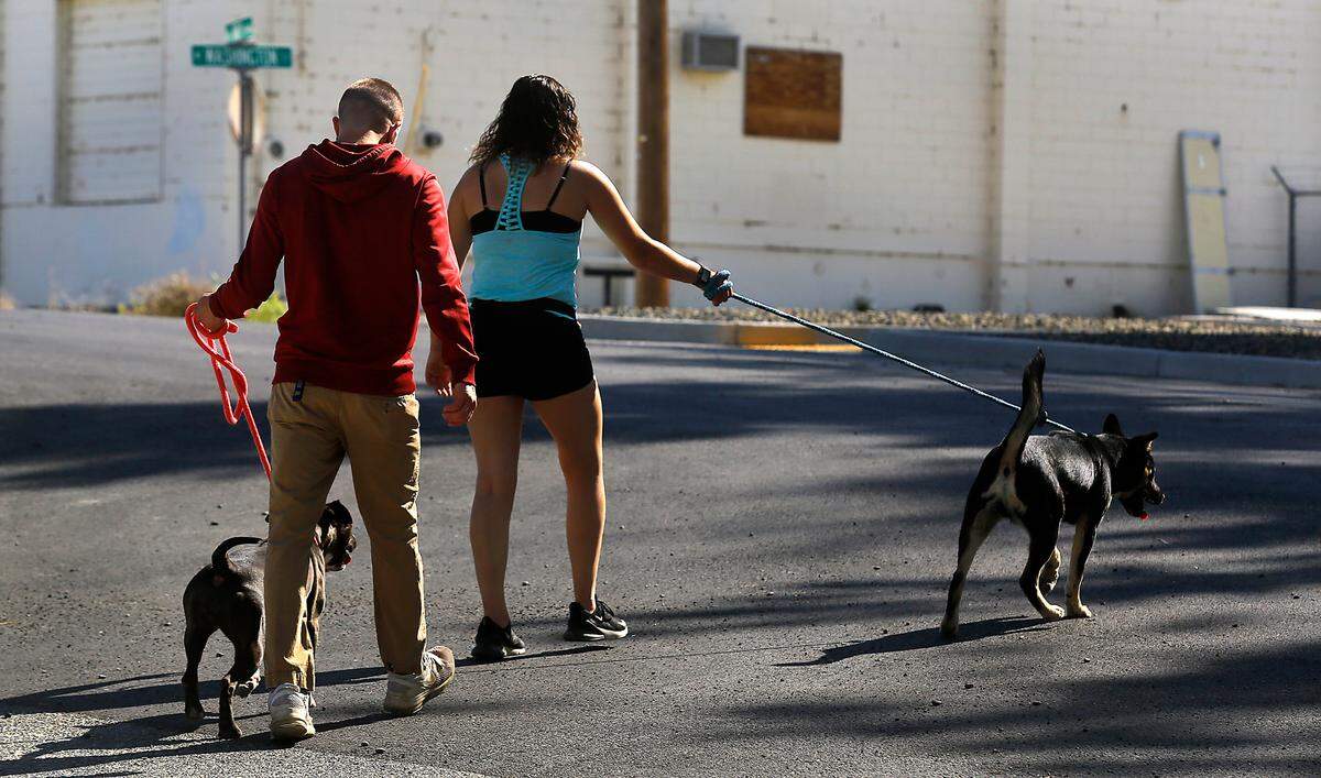 A pair of volunteer dog walkers make their to the walking trials near the Tri-Cities Animal Shelter and Control Services building off South 18th Avenue in Pasco.