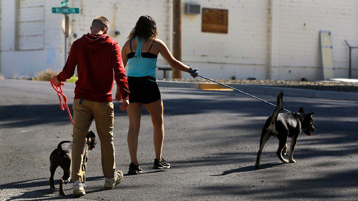 A pair of volunteer dog walkers make their to the walking trials near the Tri-Cities Animal Shelter and Control Services building off South 18th Avenue in Pasco.