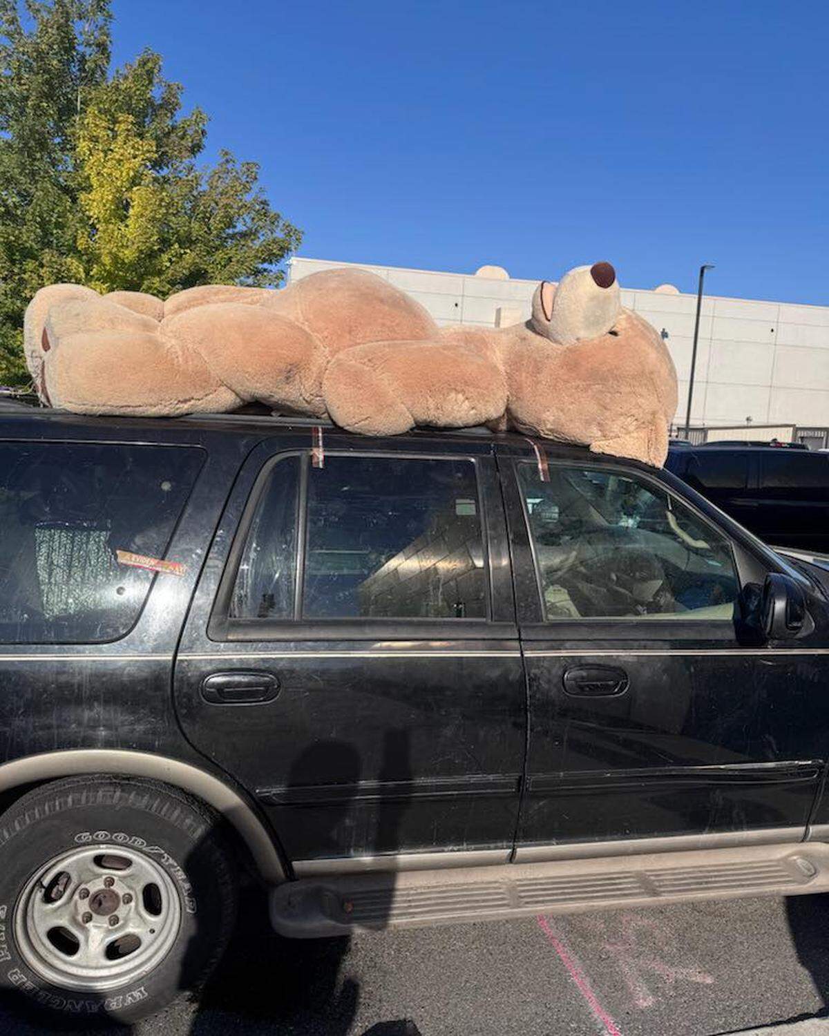 A woman is accused of trying to attack a man with a machete at Peanuts Park in Pasco. Then she allegedly hit the man with her SUV with a giant bear on top.