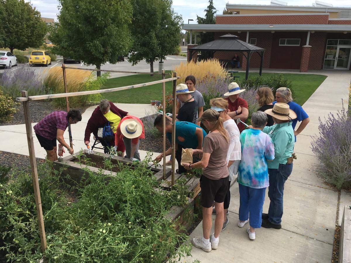 A Master Gardener program through Washington State University Extension Office.
