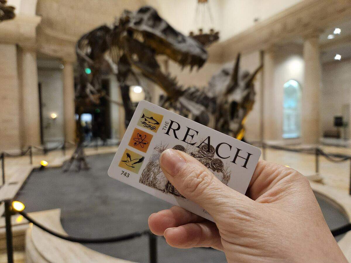 Reach memberships are available for purchase in-person and online ranging from an annual fee of $50 to $150. Single-use admission can be purchased upon arrival.