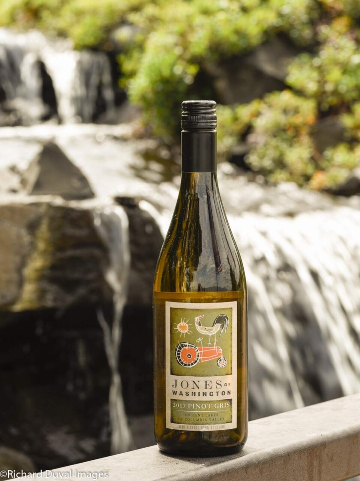 The Jones of Washington 2017 Pinot Gris received a gold medal at the 2020 Cascadia International Wine Competition in Lewiston, Idaho.