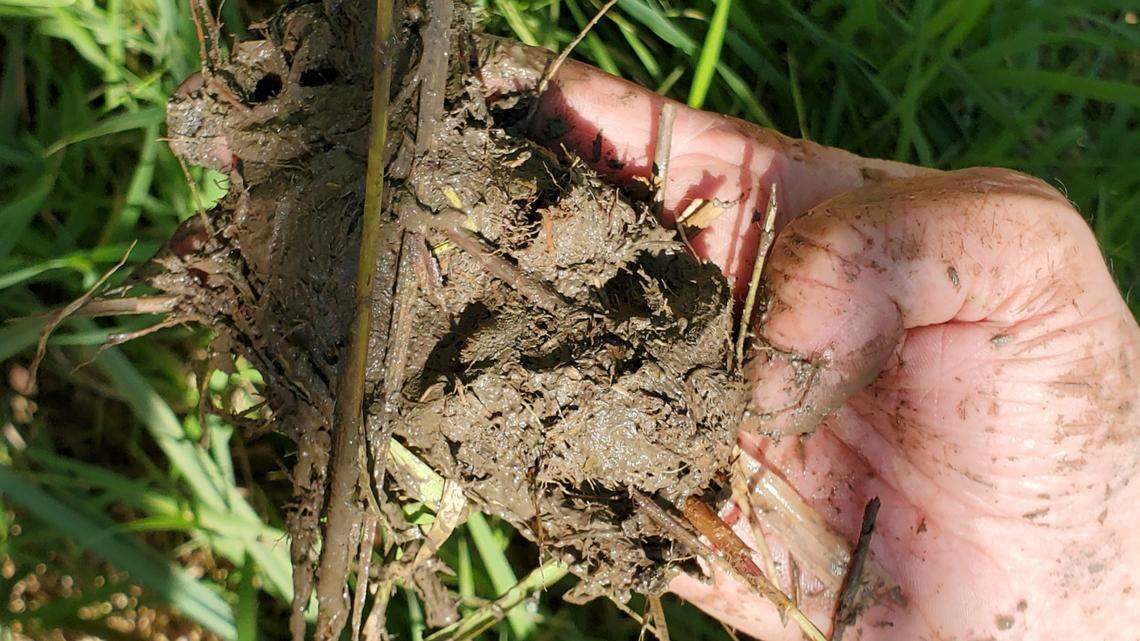 PNNL leads coastal study to help prep for wildfires, floods and climate change