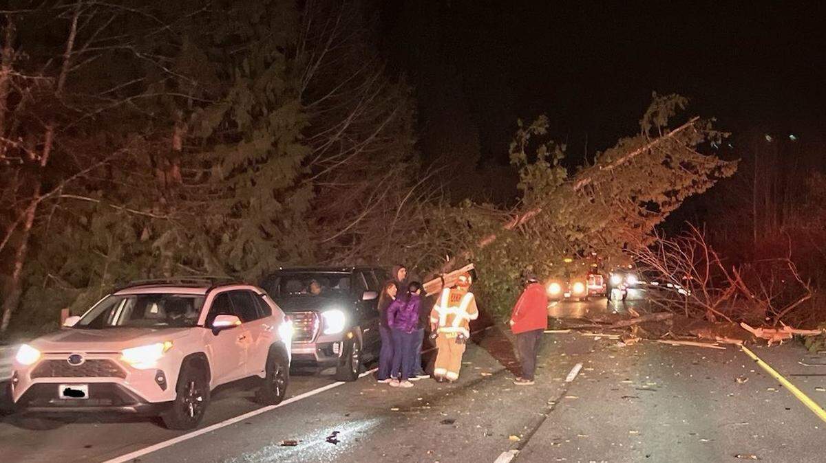 A tree fell on Highway 18 in King County killing a 23-year-old Pasco man.
