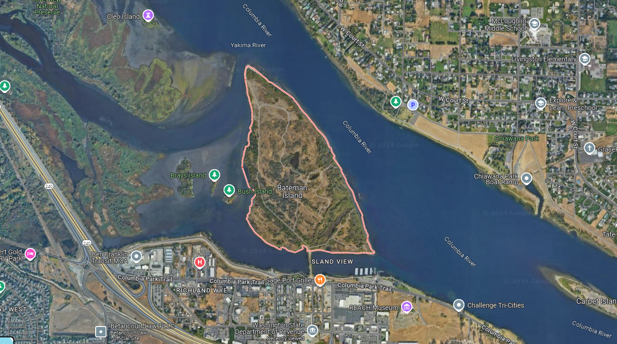 A fire broke out on Bateman Island in Richland on Thursday afternoon and moved into the heavy brush.