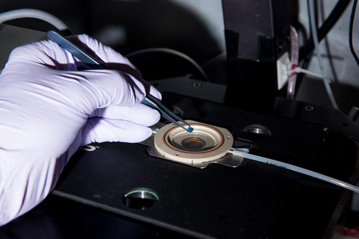 Researcher Shawn Reichers uses a one-of-a-kind irradiation atomic force microscope that we have developed. By integrating an X-ray source, we can characterize the topography of materials with nanometer resolution over time while under irradiation in controlled gas or liquid environments to observe not just the results of irradiation, but in an unprecedented manner to detail the processes involved.
