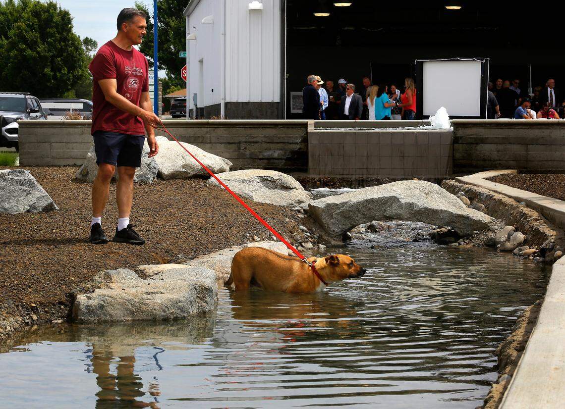 Nearby resident Greg Fryhling allows his dog named Rad the chance to cool off in the water feature of the Vista Field phase one site improvements project as an anticipated 500 people begin gathering for the opening ceremony of the project in west Kennewick.